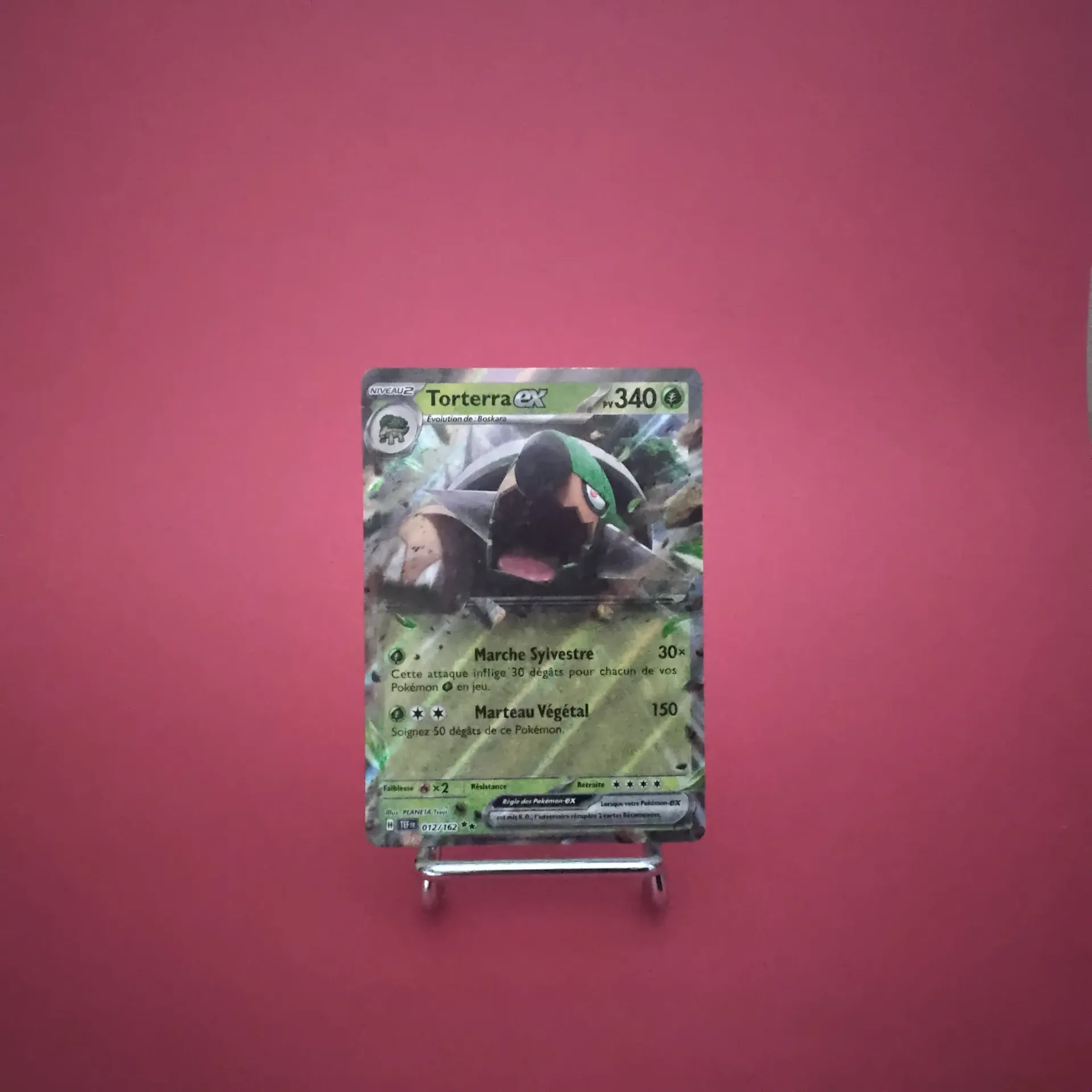 Carte Pokemon Torterra EX 012/162 - EV05 - Forces Temporelles - État Near Mint (FR)
